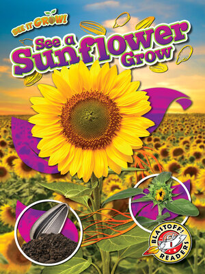 cover image of See a Sunflower Grow